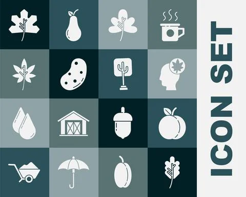 Set Leaf or leaves, Peach fruit, Human head with leaf, Potato, and Tree icon Stock Illustration