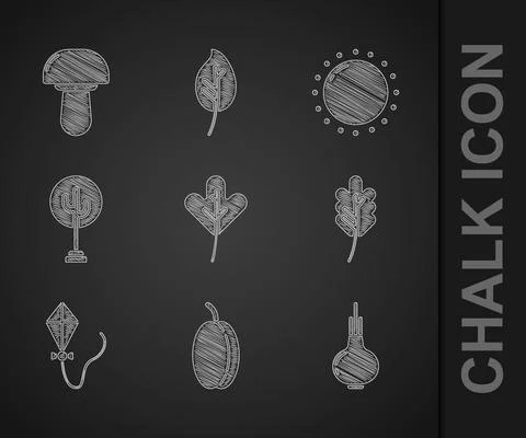 Set Leaf or leaves, Plum fruit, Onion, Kite, Tree, Sun and Mushroom icon. Vector Illustrazione stock