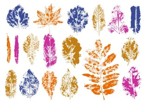 Set leaf plant print monotype in isolated white background. Botanical nature  Stock Illustration