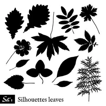 Set of Leaf Silhouettes. Isolated on white. Stock Illustration