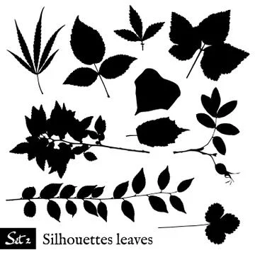 Set of Leaf Silhouettes. Isolated on white. Stock Illustration