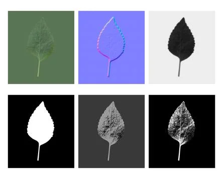 Set of leaf textures for 3d design material 스톡 일러스트