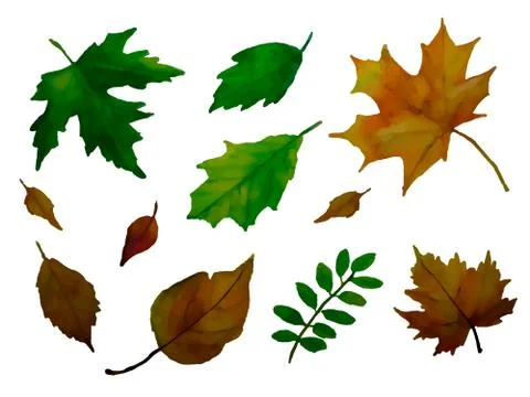 Set of leaves background. Vector Stock Illustration