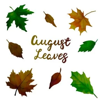 Set of leaves background. Vector Stock Illustration