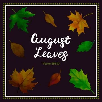 Set of leaves background. Vector Stock Illustration