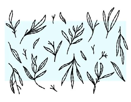 Set of leaves. Decorative elements are turned to the side. Vector graphics .. Illustrazione stock