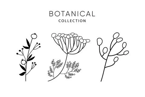 Set of leaves doodle elements. 库存插图