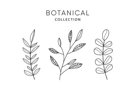 Set of leaves doodle elements. 库存插图