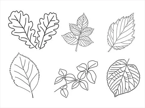Set of leaves in the doodle style Stock Illustration