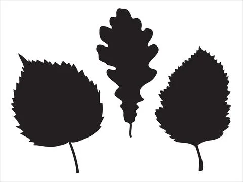 Set of leaves in the doodle style Stock Illustration