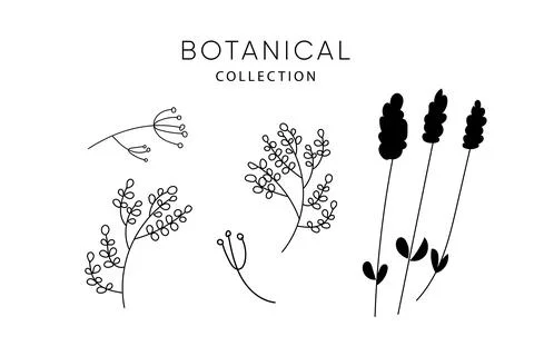 Set of leaves elements. Branches Stock Illustration