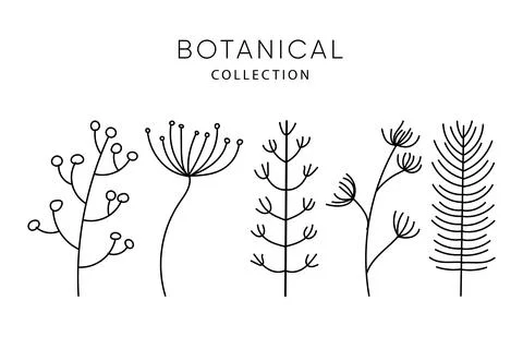 Set of leaves elements. Branches Stock-Illustration