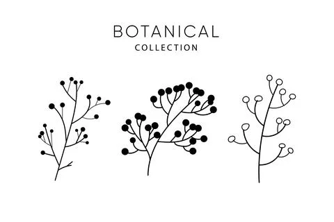 Set of leaves elements. Dried flowers 库存插图