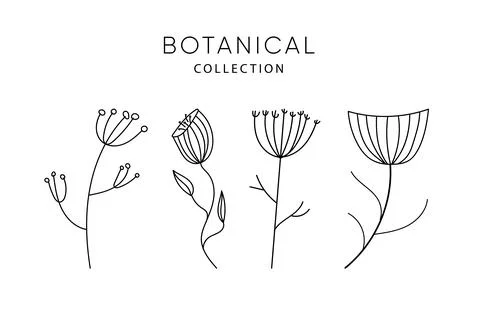 Set of leaves elements. Dried flowers. Stock-Illustration