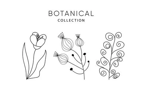 Set of leaves elements. Magic flowers Stock Illustration