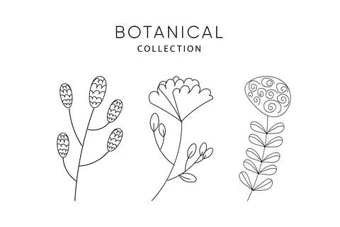 Set of leaves elements. Magic flowers Stock Illustration
