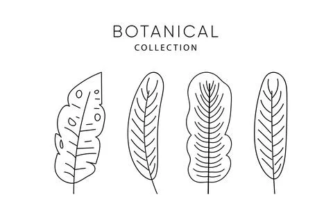 Set of leaves elements. Tropical leafes Stock Illustration