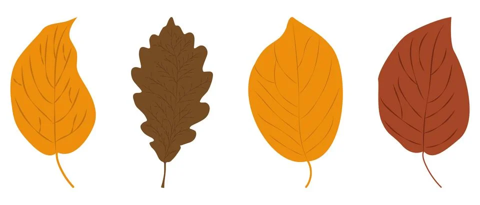 Set of leaves. Flat elements simple vector Stockillustratie