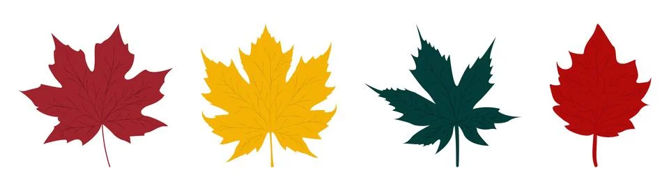 Set of leaves. Flat elements simple vector on transparent background Stockillustratie