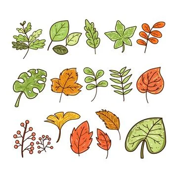 Set of leaves hand-drawn vector collection 库存插图