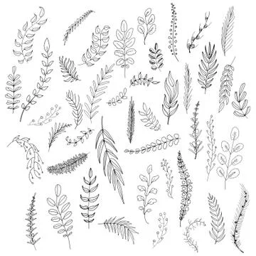 Set of leaves Stock Illustration