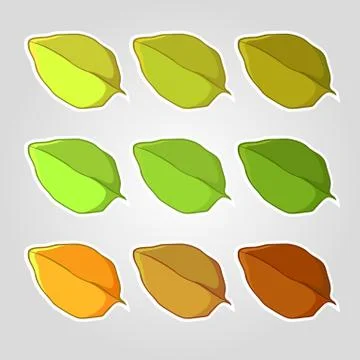 Set of leaves Stock Illustration