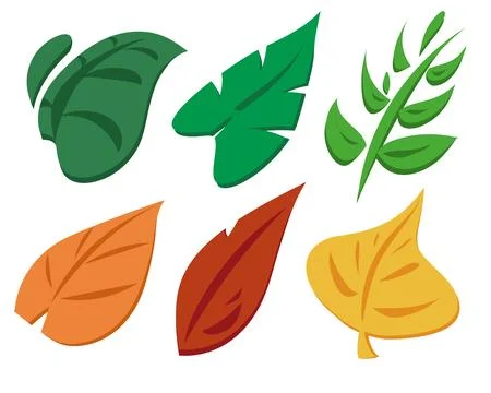 Set of leaves Illustrazione stock