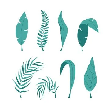 Set of leaves isolated on white background. Illustrazione stock