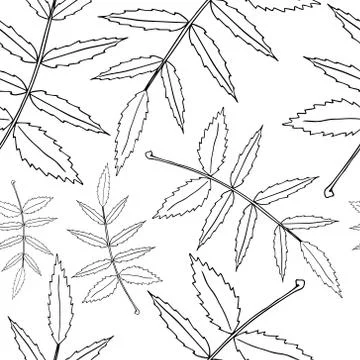 Set leaves seamless pattern. Autumn, spring leaves. Vector illustration of a  Illustrazione stock