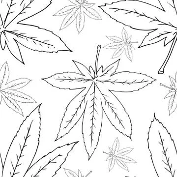 Set leaves seamless pattern. Autumn, spring leaves. Vector illustration of a  Stock Illustration