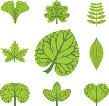 Set leaves, vector icon Stock Illustration