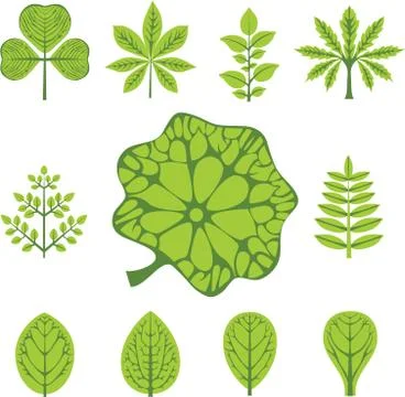 Set leaves, vector illustration Stock Illustration