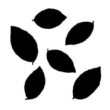 Set of leaves on a white background. Black and white vector illustration. Stock Illustration