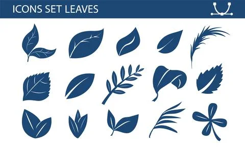 A set of leaves on a white background, for logos, designs, for the symbolism of Stock Illustration