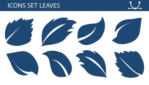 A set of leaves on a white background, for logos, designs, for the symbolism of Stock Illustration