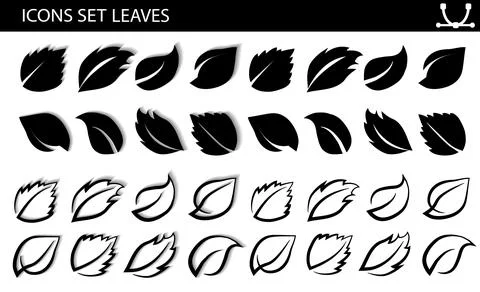 A set of leaves on a white background, for logos, designs, for the symbolism of Stock Illustration