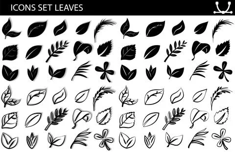 A set of leaves on a white background, for logos, designs, for the symbolism of Stock Illustration