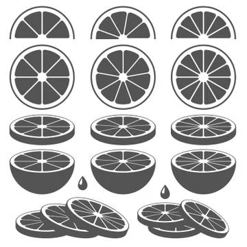 Set of lemon, lime, orange or grapefruit slices Stock Illustration