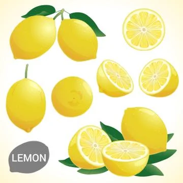 Set of lemon in various styles vector format Stock Illustration