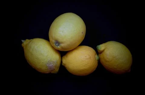 Set of lemons on a dark background Stock Photos