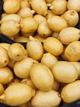 Set of lemons for food patterns Stock Photos