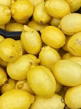 Set of lemons for food patterns Stock Photos