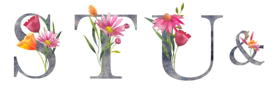 Set of letters S T U with watercolor wildflowers. Floral alphabet, isolated with Stock Illustration