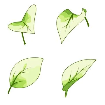 A set of light green vector leaves with soft gradients and smooth contours Stock-Illustration