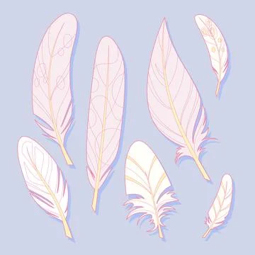 Set of light pastel feathers Stock Illustration