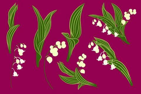 Set lilies of the valley Illustrazione stock