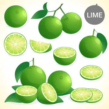 Set of lime in various styles vector format Stock Illustration
