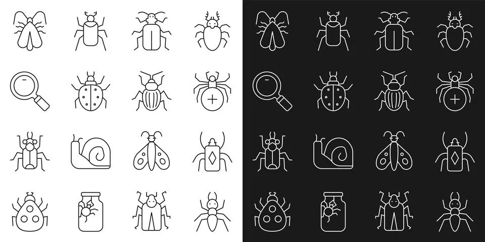 Set line Ant, Beetle bug, Spider, Chafer beetle, Mite, Magnifying glass, Clothes Illustration