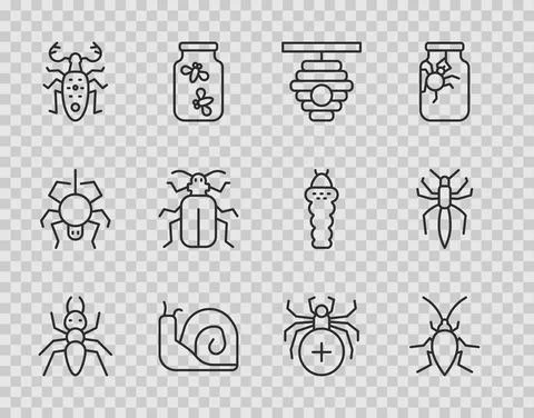 Set line Ant, Cockroach, Hive for bees, Snail, Beetle deer, Chafer beetle Stock Illustration