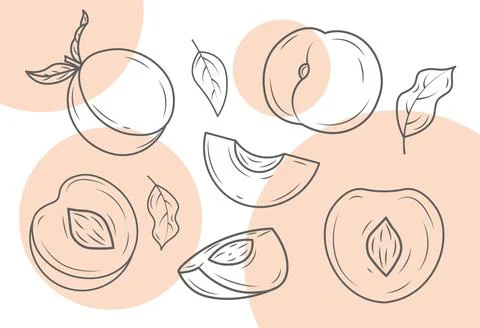 Set of line art peach Stock Illustration